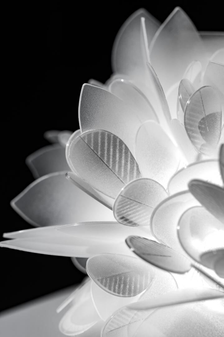 Veli Foliage Detail_Ph Ezio Gostijpg (1)