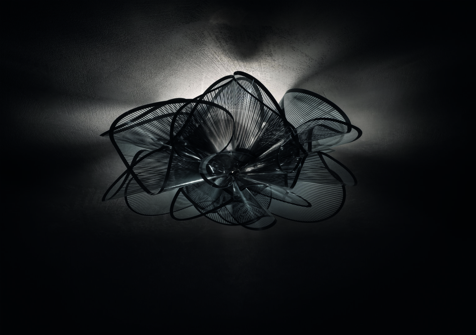 La Belle Etoile Black Ceiling on black