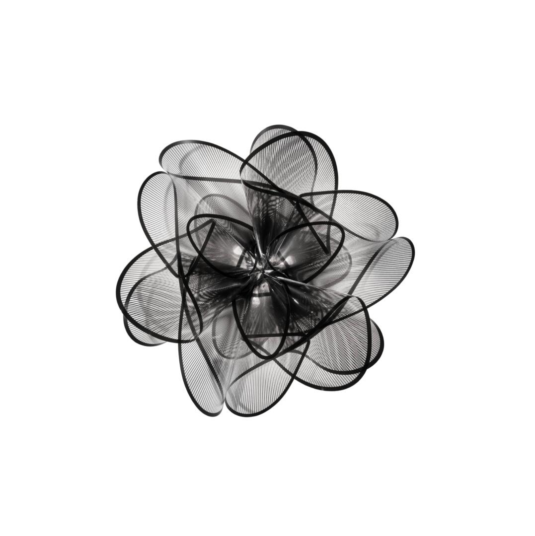 La Belle Etoile Ceiling no background - wall view (1)